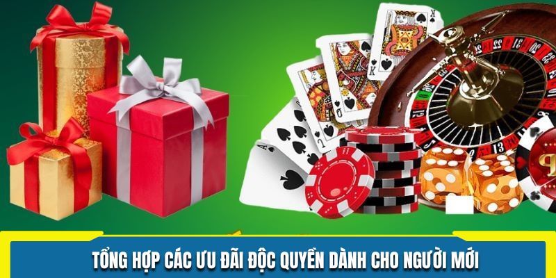 Tổng hợp các ưu đãi độc quyền dành cho người mới