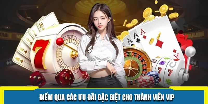 Điểm qua các ưu đãi đặc biệt cho thành viên VIP